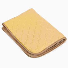 Load image into Gallery viewer, 2 Pieces Washable Pee Pads for Dog Puppy