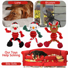 Load image into Gallery viewer, Xmas Squeaky Dog Chew Toys for Small Medium Dogs